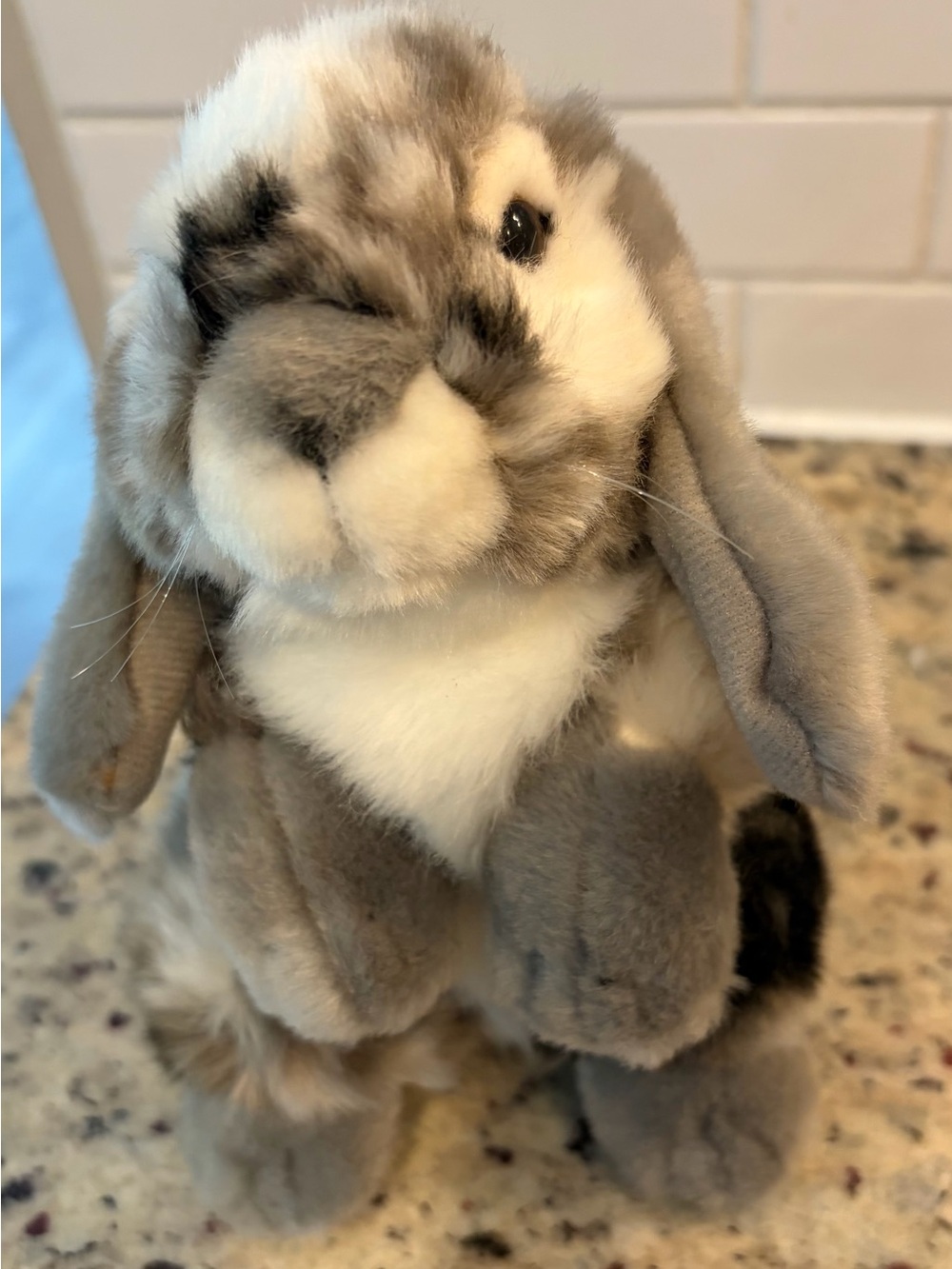 Plush Gray & White Lop-Eared Bunny Stuffed Animal